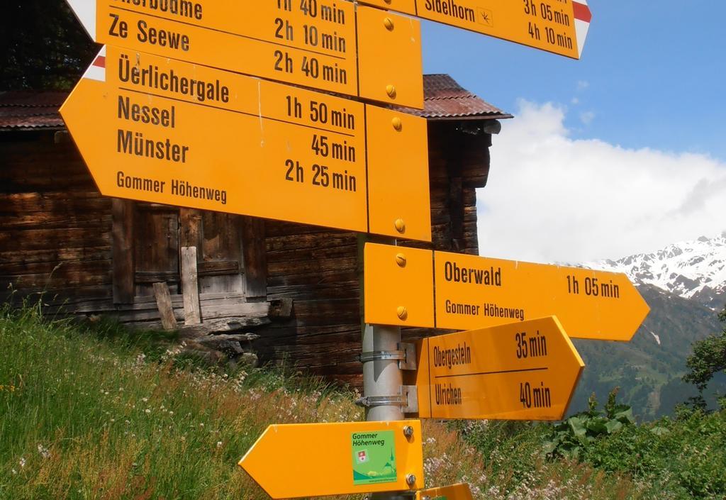 Hotel Grimsel Obergesteln Exterior photo